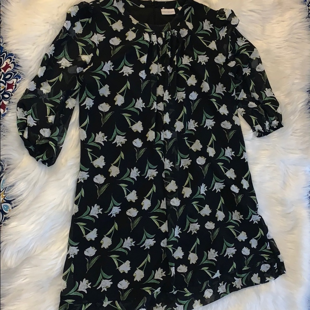 New York and company / Eva Mendes collection